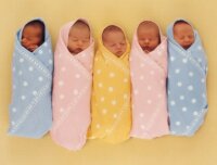 bébés