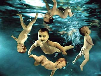bébés
