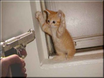 oups!!!