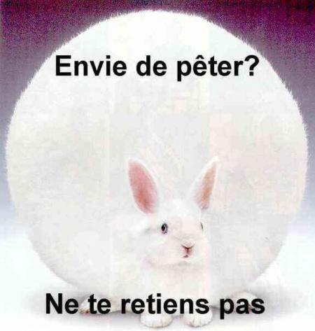 lapin gonflé!!!
